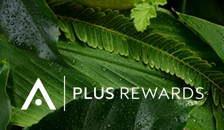 Join Aveda+ rewards program