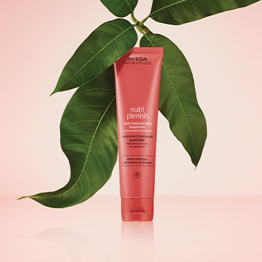 Product image of the nutriplenish™ daily moisturizing treatment.