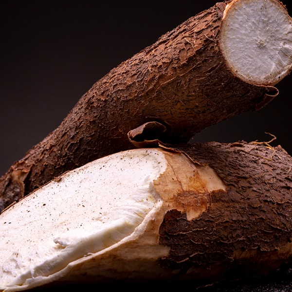 CASSAVA EXTRACT