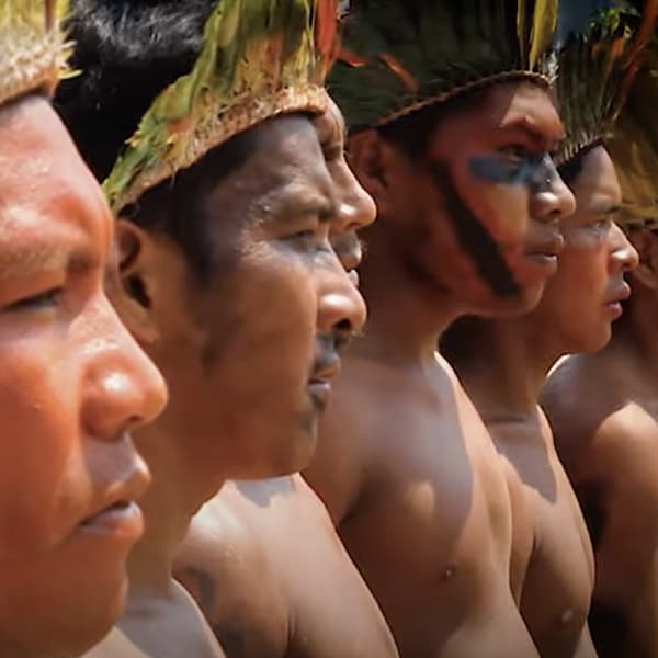 Aveda and the Yawanawá - celebrating 31 years of partnership