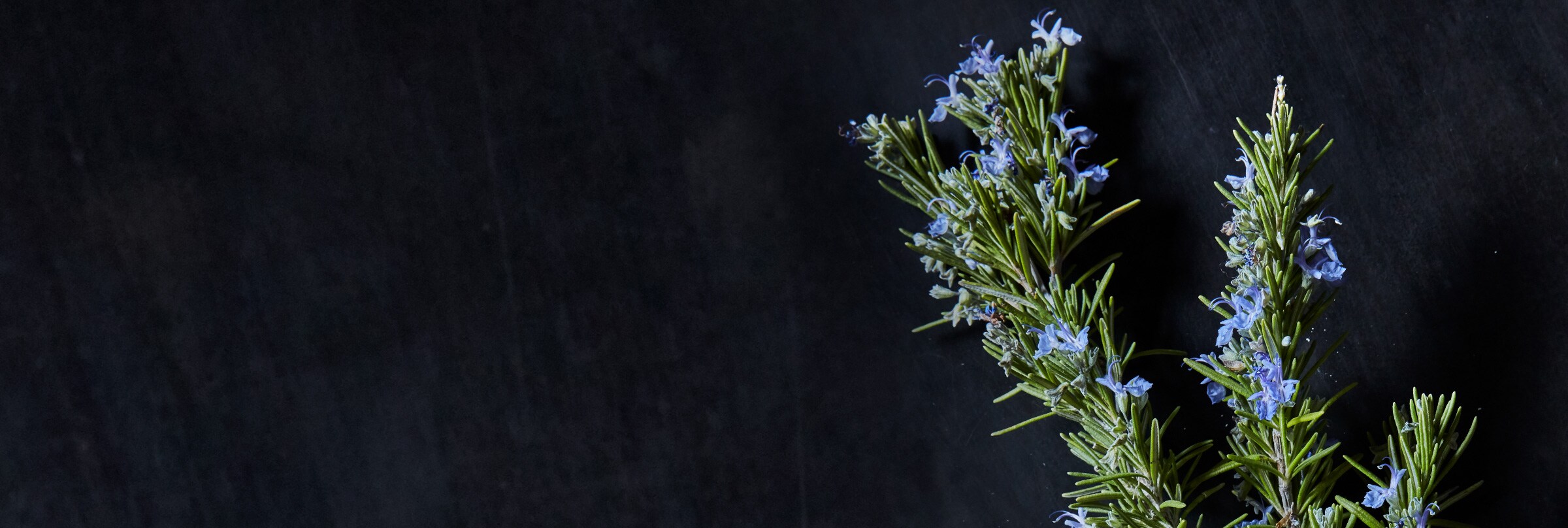 rosemary