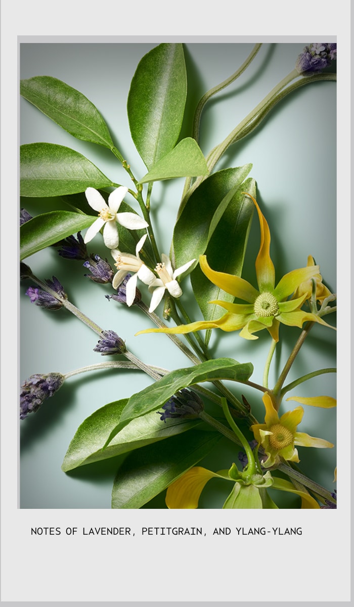 serene spirit shampure™ body calming essentials gift set