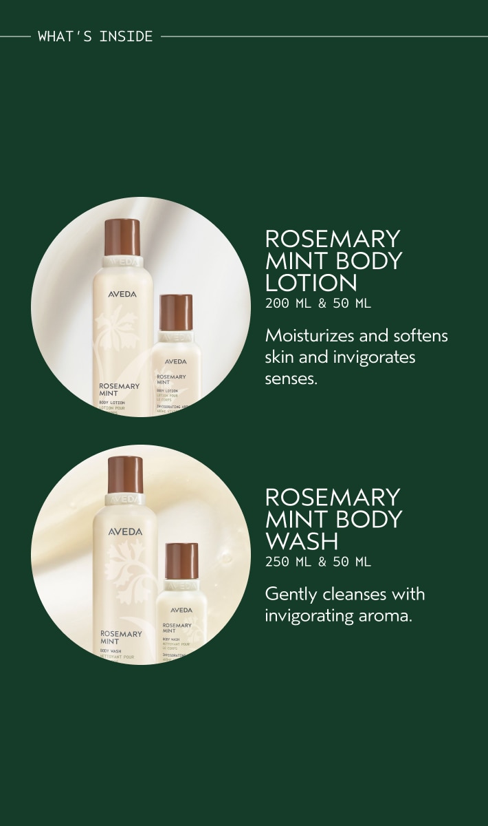 Gift of Awakening Rosemary Mint Body Set