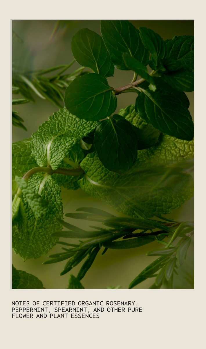 Gift of Awakening Rosemary Mint Body Set