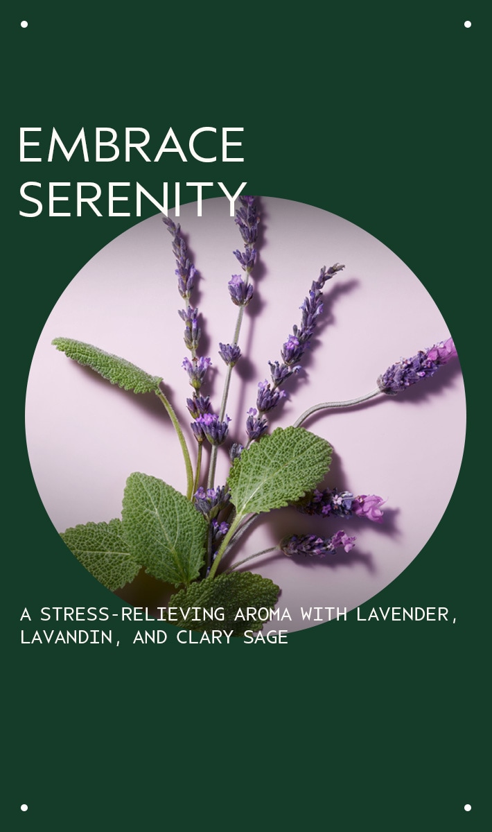 stress-fix<span class="trade">&trade;</span> body creme