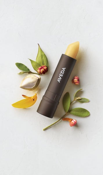 feed my lips<span class="trade">&trade;</span> pure nourish-mint<span class="trade">&trade;</span> lip treatment